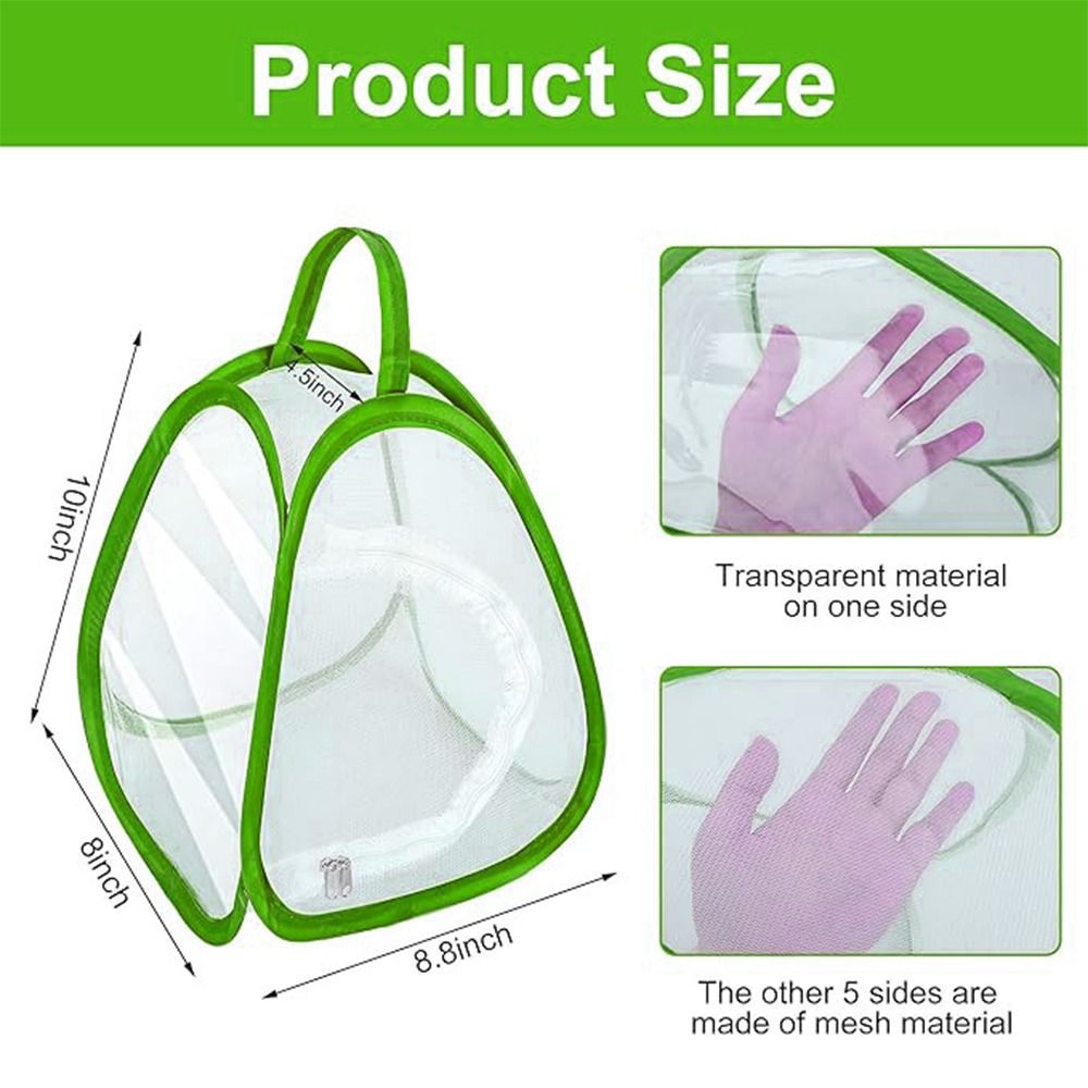 Green Screen Collapsible - Green Collapsible Insect Cage Transparent Mesh