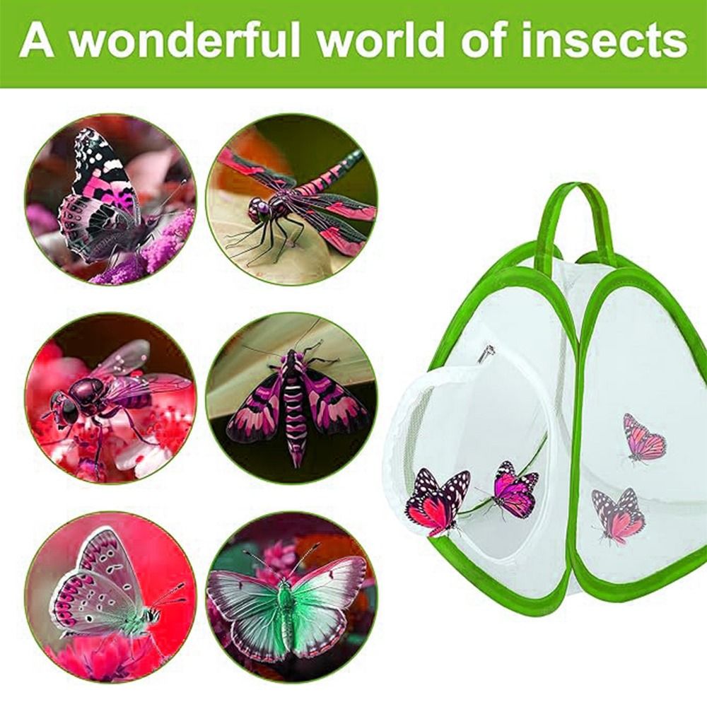 Green Collapsible Insect Cage  - Green Screen Collapsible ulasan dan harga