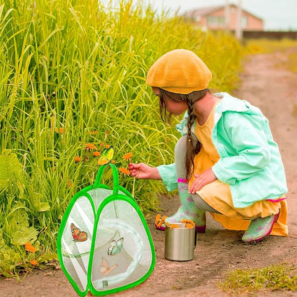 Green Collapsible Insect Cage  - Green Screen Collapsible ulasan dan harga