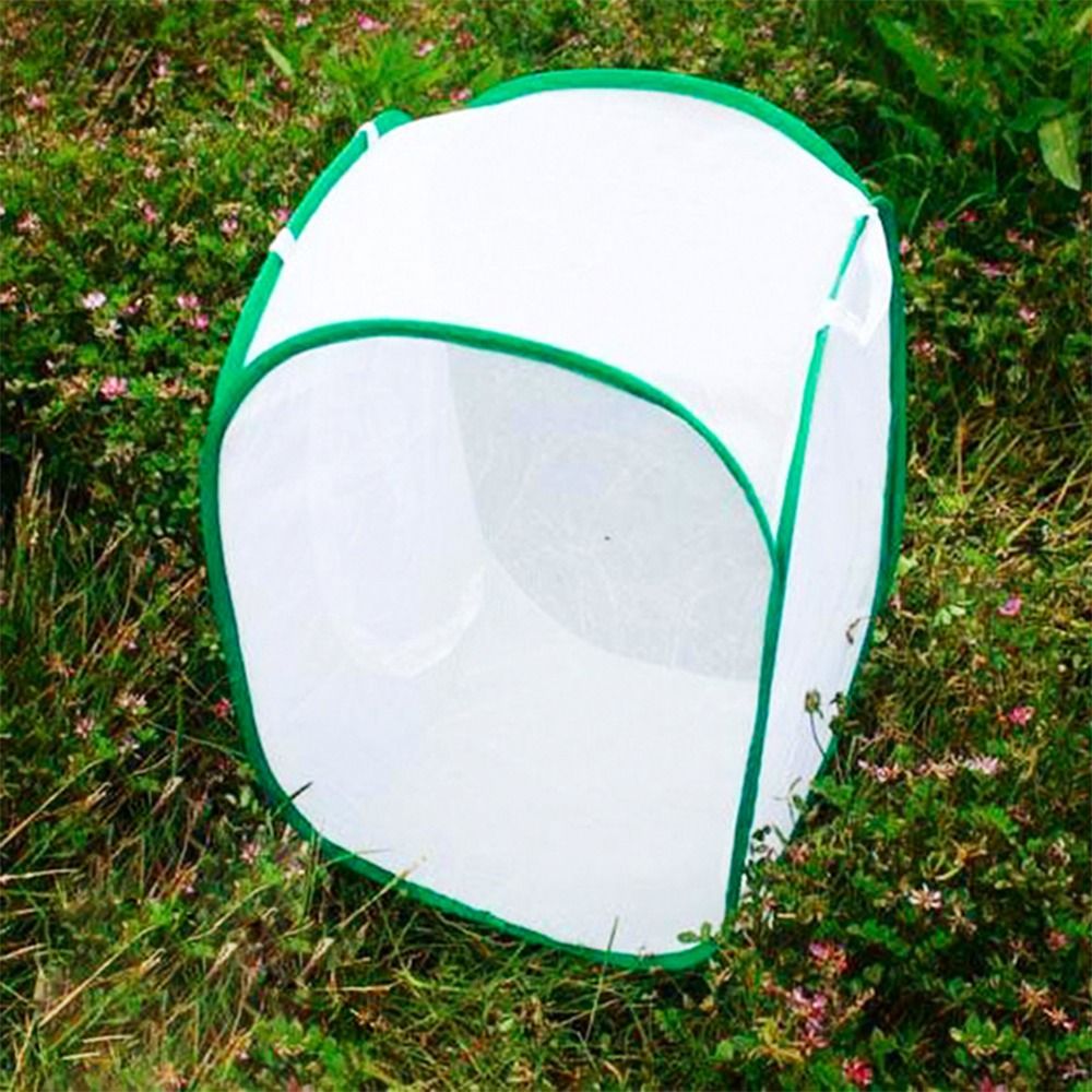 Green Collapsible Insect Cage  - Green Screen Collapsible ulasan dan harga