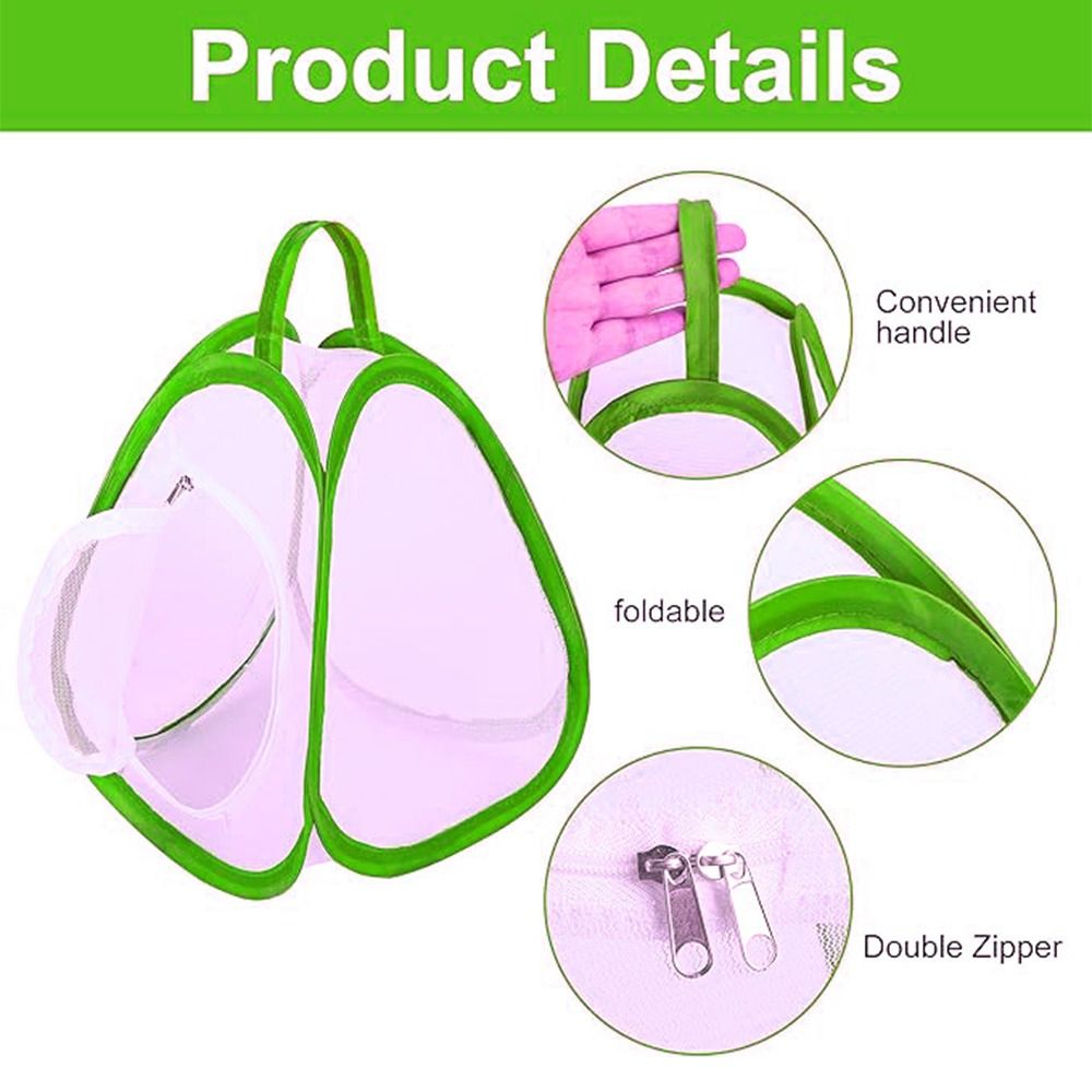 Green Collapsible Insect Cage  - Green Screen Collapsible ulasan dan harga