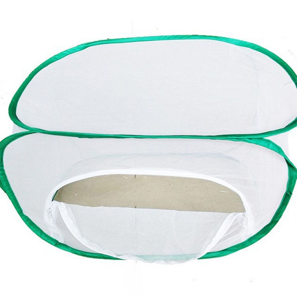 Green Collapsible Insect Cage  - Green Screen Collapsible ulasan dan harga