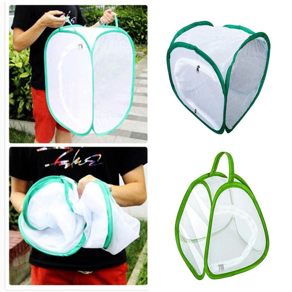 Green Collapsible Insect Cage  - Green Screen Collapsible ulasan dan harga
