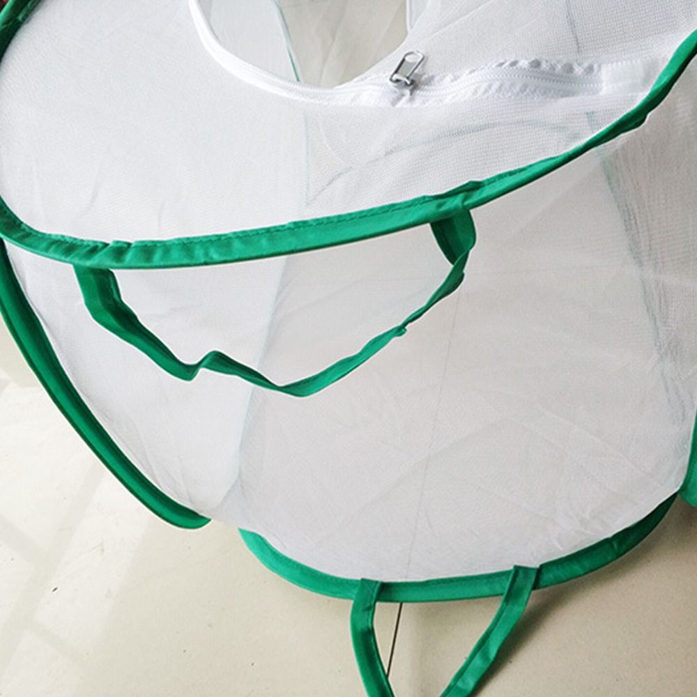 Green Collapsible Insect Cage  - Green Screen Collapsible ulasan dan harga