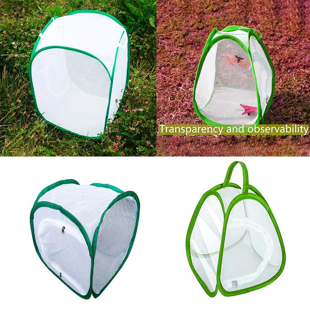 Green Collapsible Insect Cage  - Green Screen Collapsible ulasan dan harga