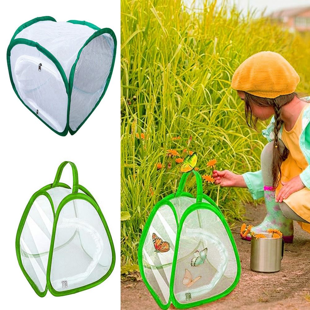 Green Collapsible Insect Cage  - Green Screen Collapsible ulasan dan harga