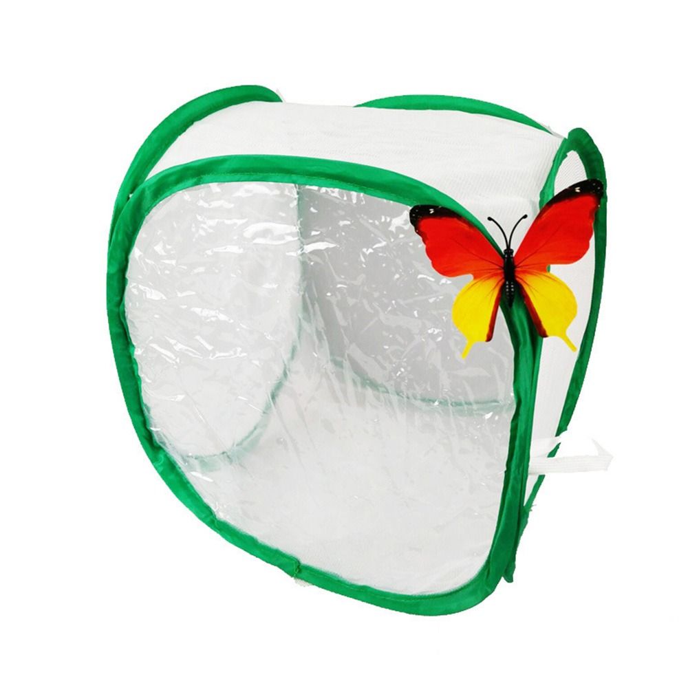 Green Collapsible Insect Cage  - Green Screen Collapsible ulasan dan harga