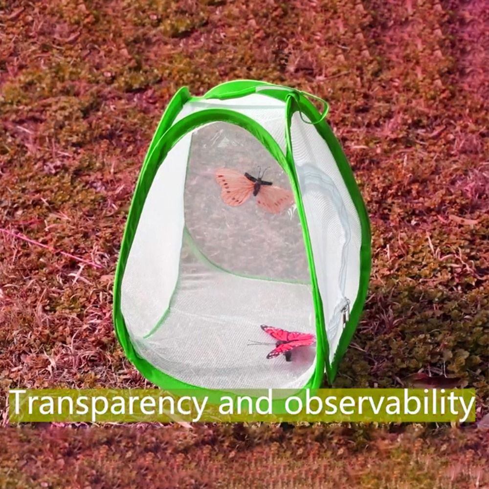 Green Collapsible Insect Cage  - Green Screen Collapsible ulasan dan harga