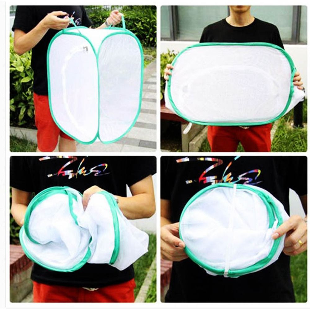 Green Collapsible Insect Cage  - Green Screen Collapsible ulasan dan harga
